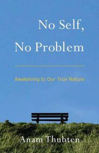 Cover image for No Self, No Problem: Awakening to Our True Nature