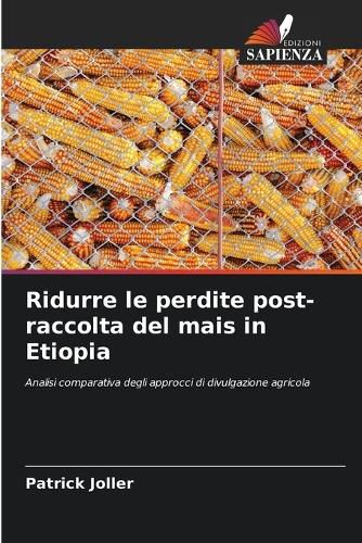 Cover image for Ridurre le perdite post-raccolta del mais in Etiopia