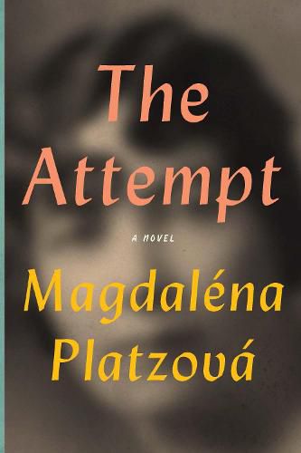 Cover image for The Attempt