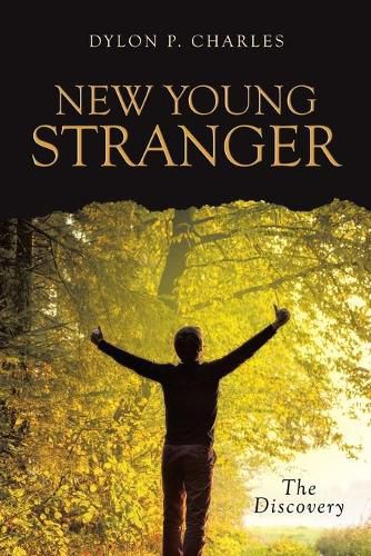 Cover image for New Young Stranger