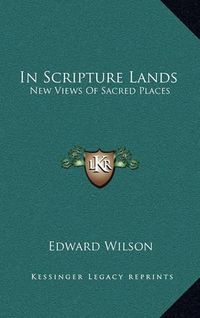 Cover image for In Scripture Lands: New Views of Sacred Places