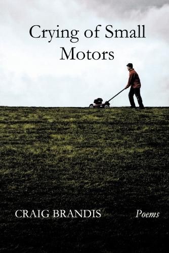 Cover image for Crying of Small Motors