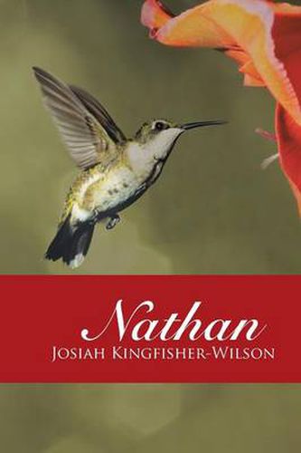 Cover image for Nathan