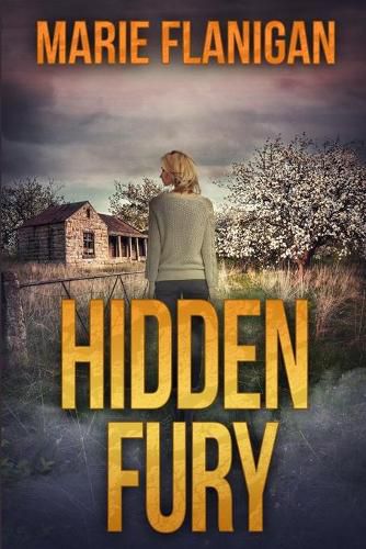 Cover image for Hidden Fury