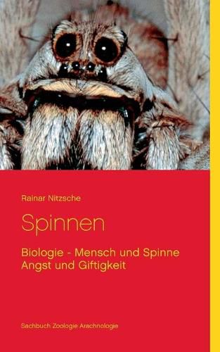 Cover image for Spinnen: Biologie - Mensch und Spinne - Angst und Giftigkeit