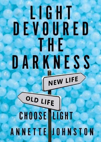 Cover image for Light Devoured the Darkness