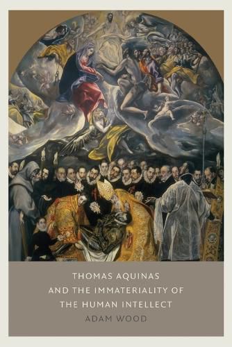 Cover image for Thomas Aquinas on the Immateriality of the Human Intellect