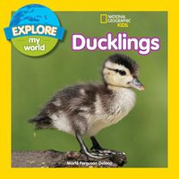 Cover image for Explore My World: Ducklings