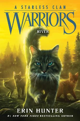 Cover image for Warriors: A Starless Clan #1: River