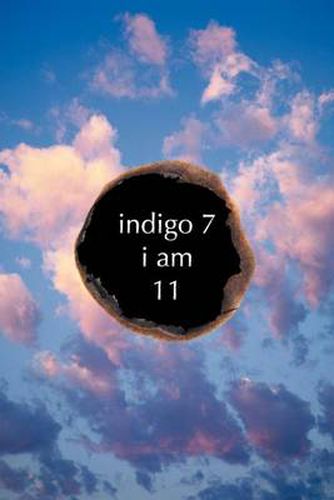 Cover image for Indigo 7