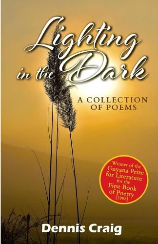 Cover image for Lighting in the Dark: A Collection of Poems