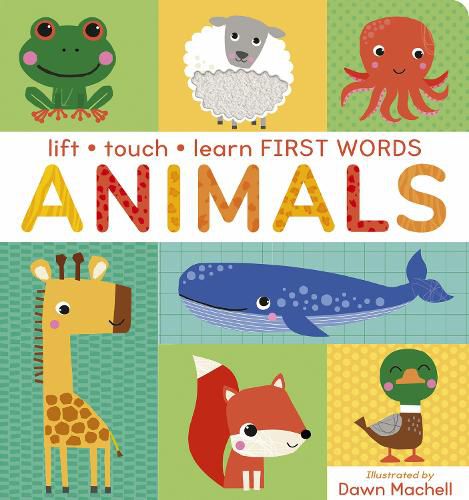 Cover image for Lift Touch and Learn First Words: Animals