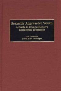 Cover image for Sexually Aggressive Youth: A Guide to Comprehensive Residential Treatment