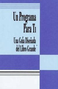 Cover image for Un Programa Para Ti (a Program For You Book): Una Guia Disenada del Libro Grande