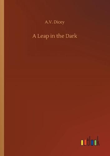 Cover image for A Leap in the Dark