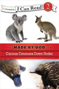 Cover image for Curious Creatures Down Under: Level 2