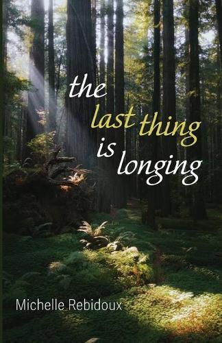 Cover image for The Last Thing Is Longing