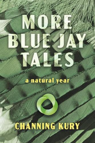 Cover image for More Blue Jay Tales