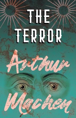Cover image for The Terror - A Mystery