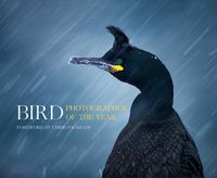 Cover image for Bird Photographer of the Year