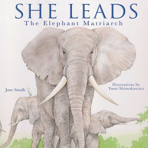 Cover image for She Leads: The Elephant Matriarch