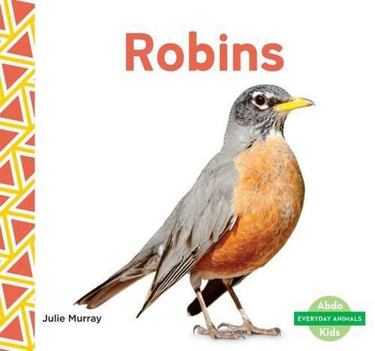 Cover image for Robins