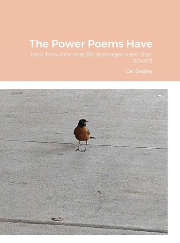 Cover image for The Power Poems Have: (and how one specific teenager used that power)