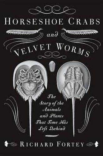 Cover image for Horseshoe Crabs and Velvet Worms: The Story of the Animals and Plants That Time Has Left Behind