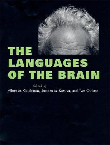 Cover image for The Languages of the Brain