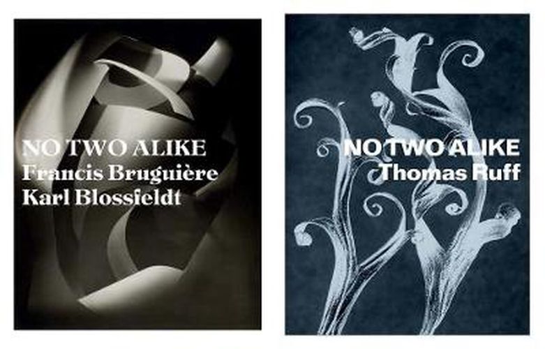 Cover image for No Two Alike: Karl Blossfeldt, Francis Bruguiere, Thomas Ruff