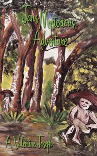 Cover image for Jan's Mysterious Adventure