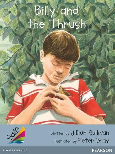 Cover image for Sails Advanced Fluency Silver: Billy and the Thrush