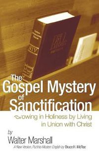 Cover image for The Gospel Mystery of Sanctification: Growing in Holiness by Living in Union with Christ