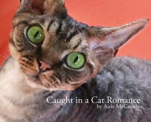 Cover image for Caught in a Cat Romance