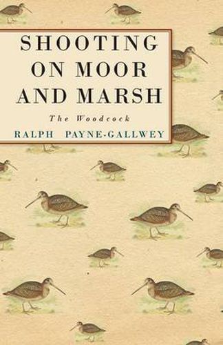 Cover image for Shooting On Moor And Marsh - The Woodcock