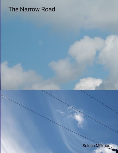 Cover image for The Narrow Road