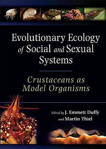 Cover image for Evolutionary Ecology of Social and Sexual Systems: Crustaceans as Model Organisms