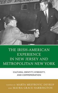 Cover image for The Irish-American Experience in New Jersey and Metropolitan New York: Cultural Identity, Hybridity, and Commemoration