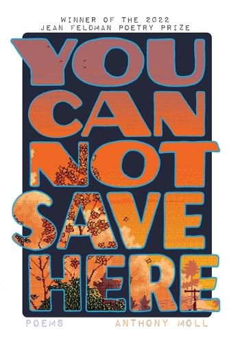 Cover image for You Cannot Save Here