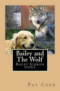 Cover image for Bailey and The Wolf