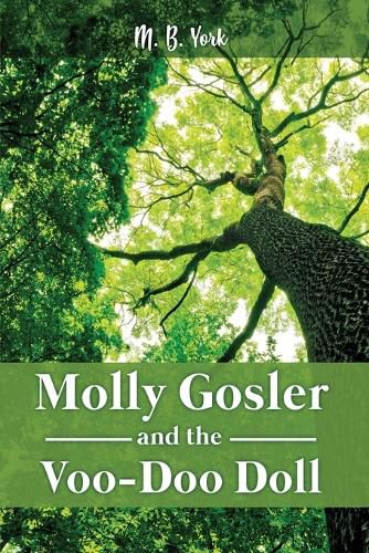 Cover image for Molly Gosler and the Voo-Doo Doll