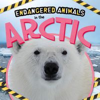 Cover image for In the Arctic