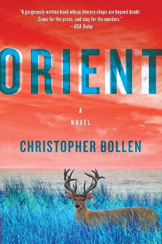 Cover image for Orient