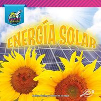 Cover image for Energia Solar