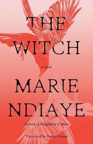 Cover image for The Witch
