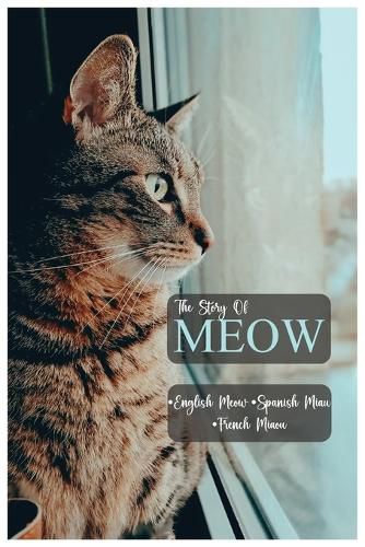 Cover image for Meow the story of Meow