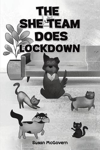 Cover image for The She Team Does Lockdown