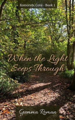 Cover image for When the Light Seeps Through