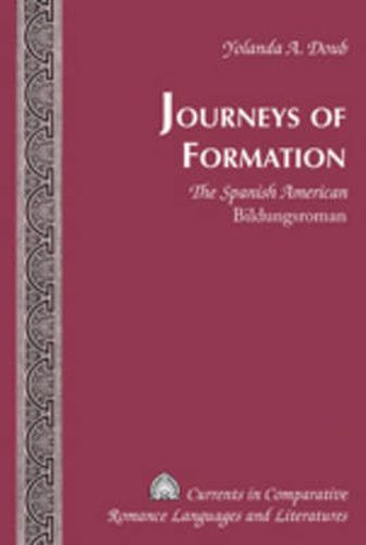 Cover image for Journeys of Formation: The Spanish American  Bildungsroman