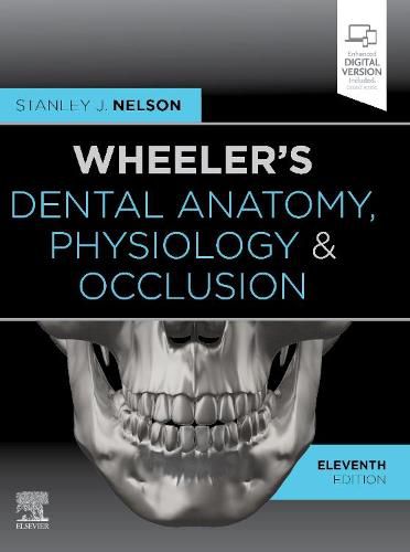 Cover image for Wheeler's Dental Anatomy, Physiology and Occlusion